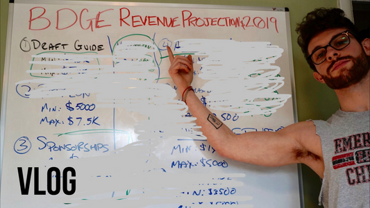 2019 BDGE Revenue Projections | January 2019 Vlog