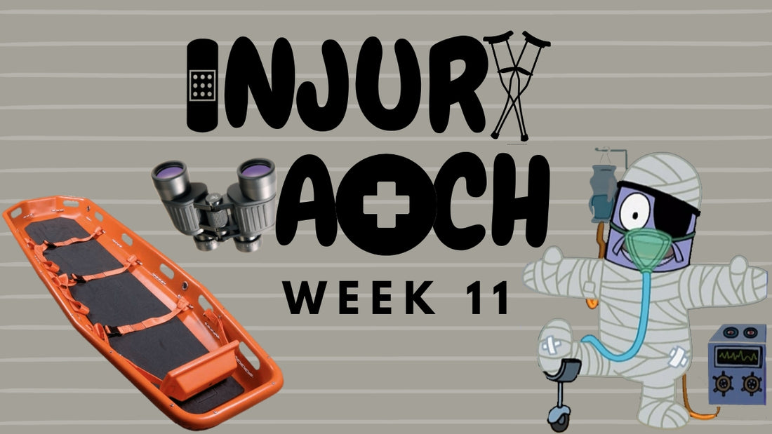Week 11 - Injury Watch
