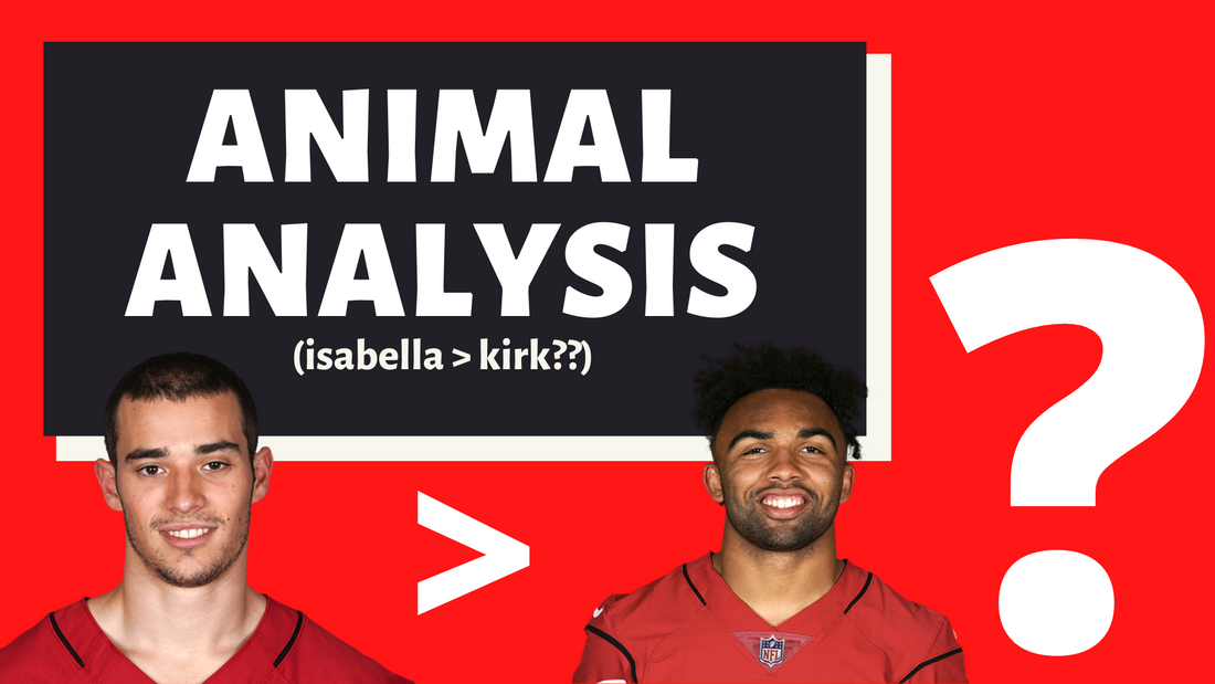 Animal Analysis - The case for Andy Isabella over Christian Kirk
